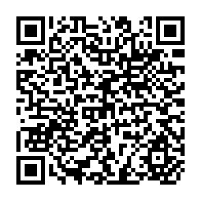QR Code for FAO Studies in Food and Population