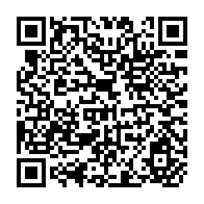 QR Code for New Directions in Vocational Guidance