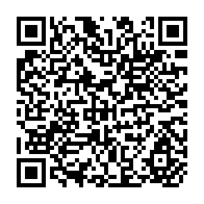 QR Code for FAO/DANIDA Training Course on Forest seed Collection and Handling