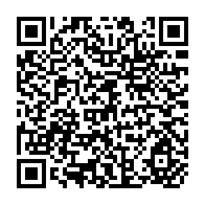QR Code for The impact of Food AID on Donor and other Food- Exporting Contries