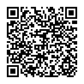 QR Code for The Role of Multilateral Food AID Programs
