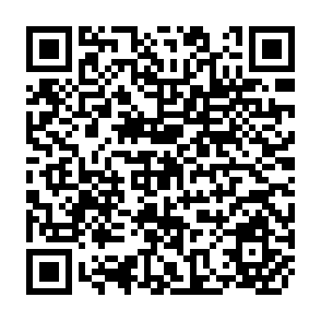 QR Code for One World Only