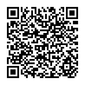 QR Code for Strategies for Employment Promotion
