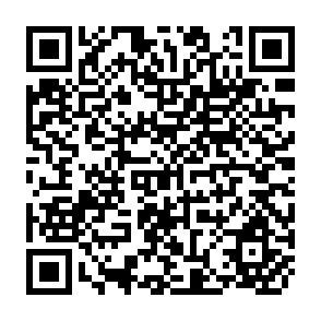 QR Code for Hunger, Politics and Markets