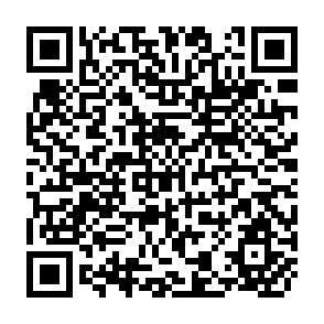 QR Code for Acceptable Inequalities- An Essay on the Distribution of Income