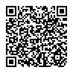 QR Code for World Poverty and Development: A Survey of American Opinion