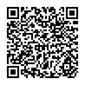 QR Code for The Natinal Sample Survey- Twentythird Round July 1968-June 1969 Number 200
