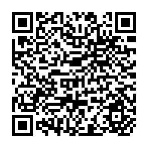 QR Code for Economic Asspects of Water Utilization in Irrigation Projects