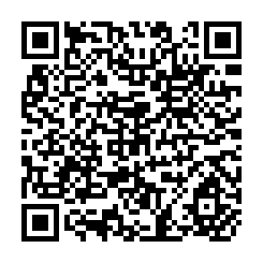 QR Code for The New Rice in Asia: Conclusions from Four Country Studies