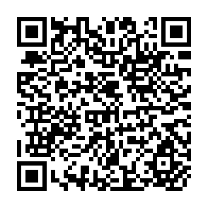 QR Code for The New Rice in Asia: Conclusions from Four Country Studies