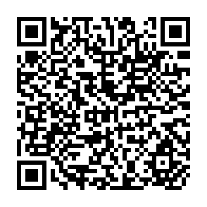 QR Code for The New Rice in Indonesia