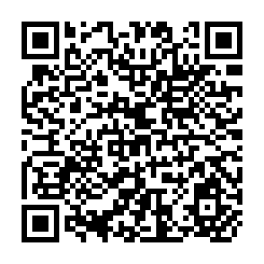 QR Code for The Impact Of New Agricultural Technology On Employment And Income Distribution Concepts And Policy