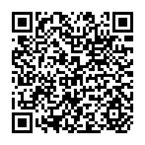 QR Code for Financing cooperatives in developing countries