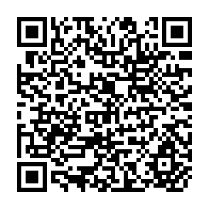 QR Code for Scope, Approach and Content of research-Oriented Activities of the World Employment Programme