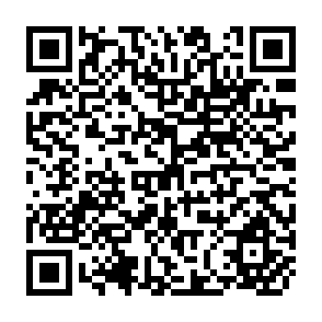 QR Code for Strategy for the Conquest of Hunger