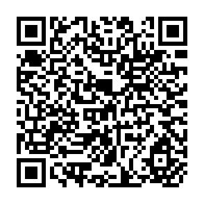 QR Code for The Demand for Food, and Conditions Governing Food Aid During Development