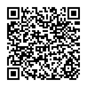 QR Code for Agricultural Sector Analysis