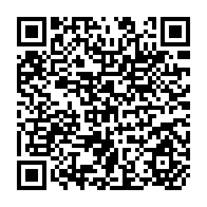 QR Code for Production and Marketing Pattern of Paddy