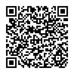 QR Code for FARM Business Data