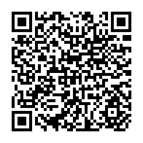 QR Code for The Politics of Food