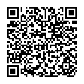 QR Code for The Politics of Food
