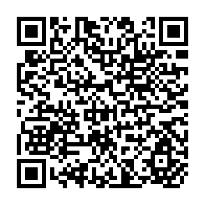 QR Code for The Politics of Food