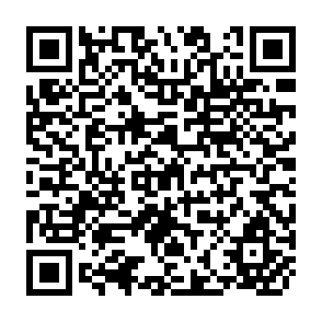 QR Code for Development