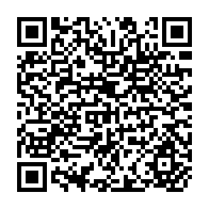QR Code for Proceedings of the Panel Discussion on Communication and Co-Operation Between Theoreticians and Practitioners