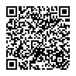 QR Code for FAO/SIDA Expert Consultation on Policies and Institutions for Integrated Rural Development - Vol. I