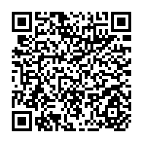 QR Code for Report on the FAO/SIDA Expert Consultation on Policies and Institutions for Integrated Rural Development