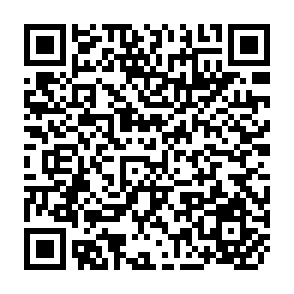 QR Code for FAO/SIDA Expert Consultation on Policies and Institutions for Integrated Rural Development - Vol. II