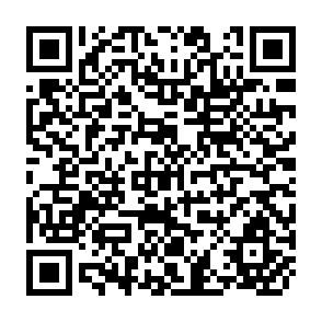 QR Code for Bibilography