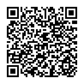 QR Code for Population :Quality of life Themes