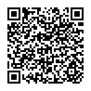 QR Code for Towards a New International Economic Order