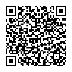 QR Code for Polyculture Cropping Systems: Review and Analysis