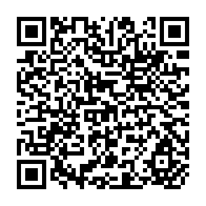 QR Code for Consumption Pattern and Preferences for Rice