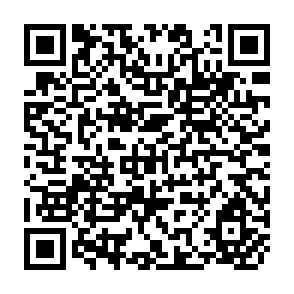 QR Code for Peasants