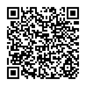 QR Code for Only One Earth