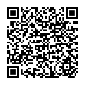 QR Code for The New Economics of Growth