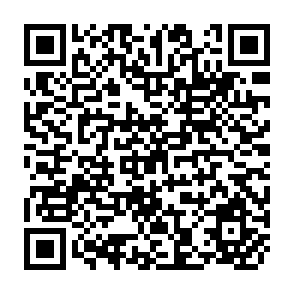 QR Code for The Paradox of Poverty