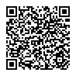 QR Code for The Economics of Nonformal Education