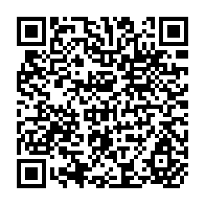 QR Code for A century of agricultural growth in Japan