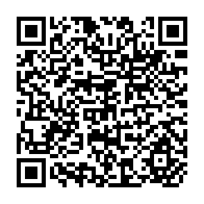 QR Code for Nonlinear Programming Theory and Methods