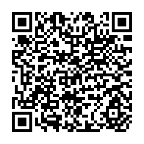 QR Code for The Hungry Planet