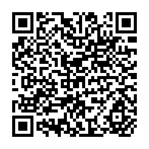 QR Code for Manual on comilla co-operatives