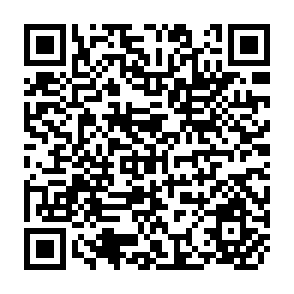 QR Code for The Cultural Barrier