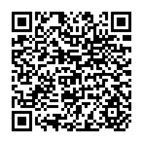 QR Code for The Teaching of Development Economics