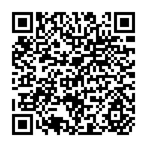 QR Code for Growth and Inequality in Pakistan