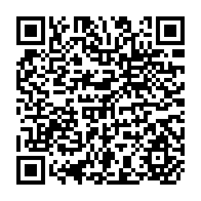 QR Code for The Peasant Marketing System of Oaxaca