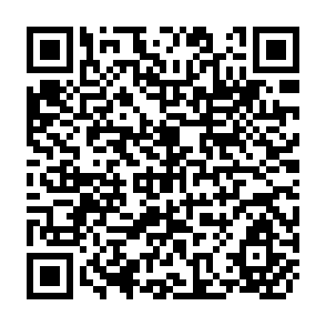 QR Code for Agrarian reform in ecuador